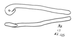 L_W17c4128 A07.0105 I729 ma ma